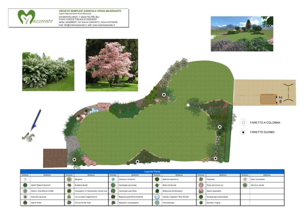 Descrizione progettuale design giardino